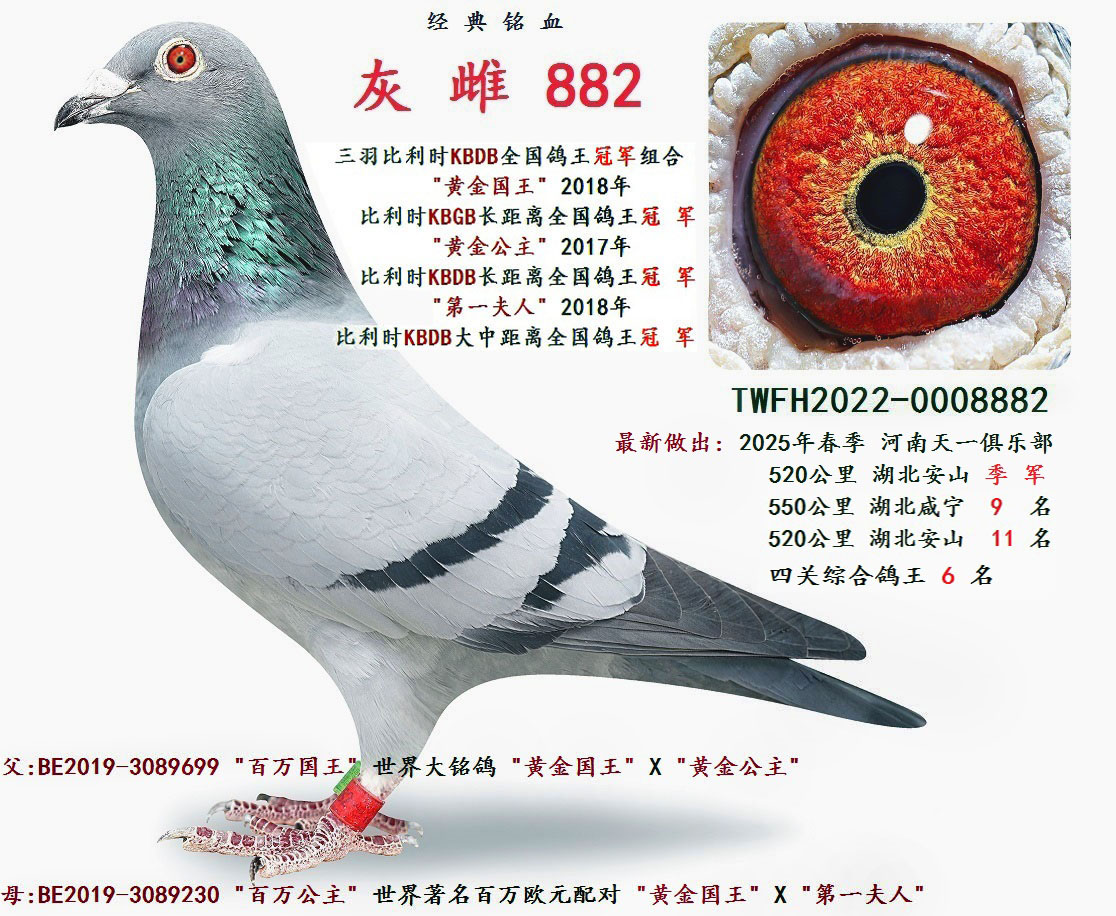   882
