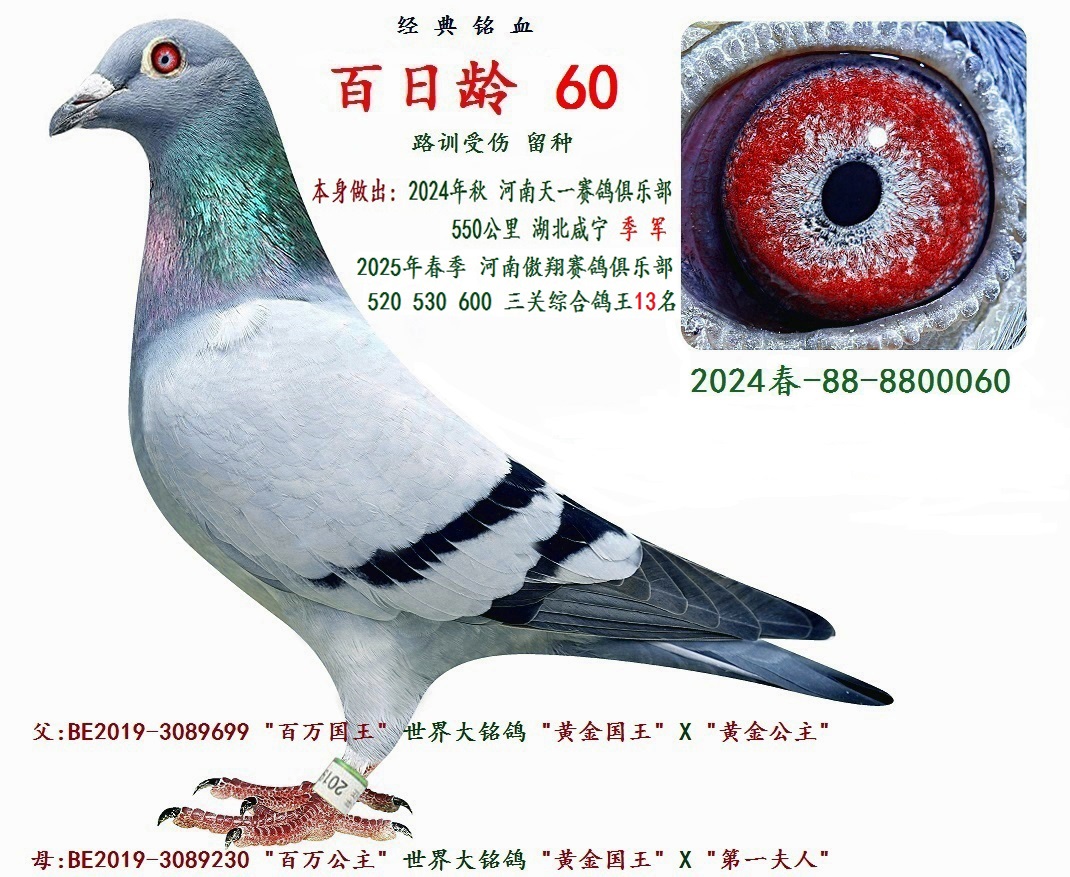 g 60