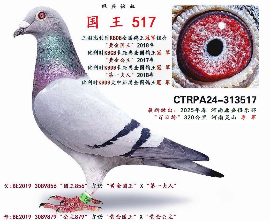   517