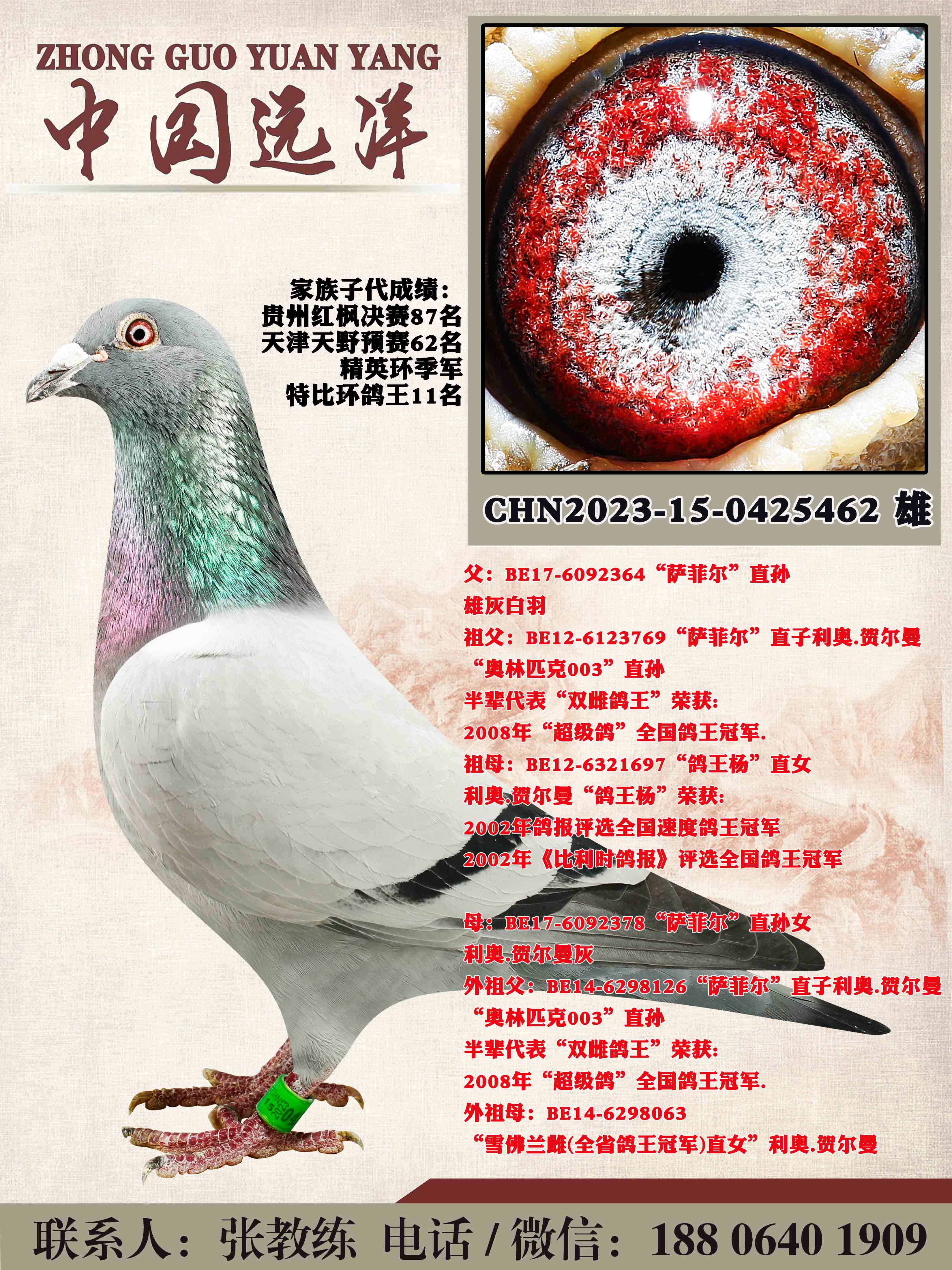 겻ɿQ