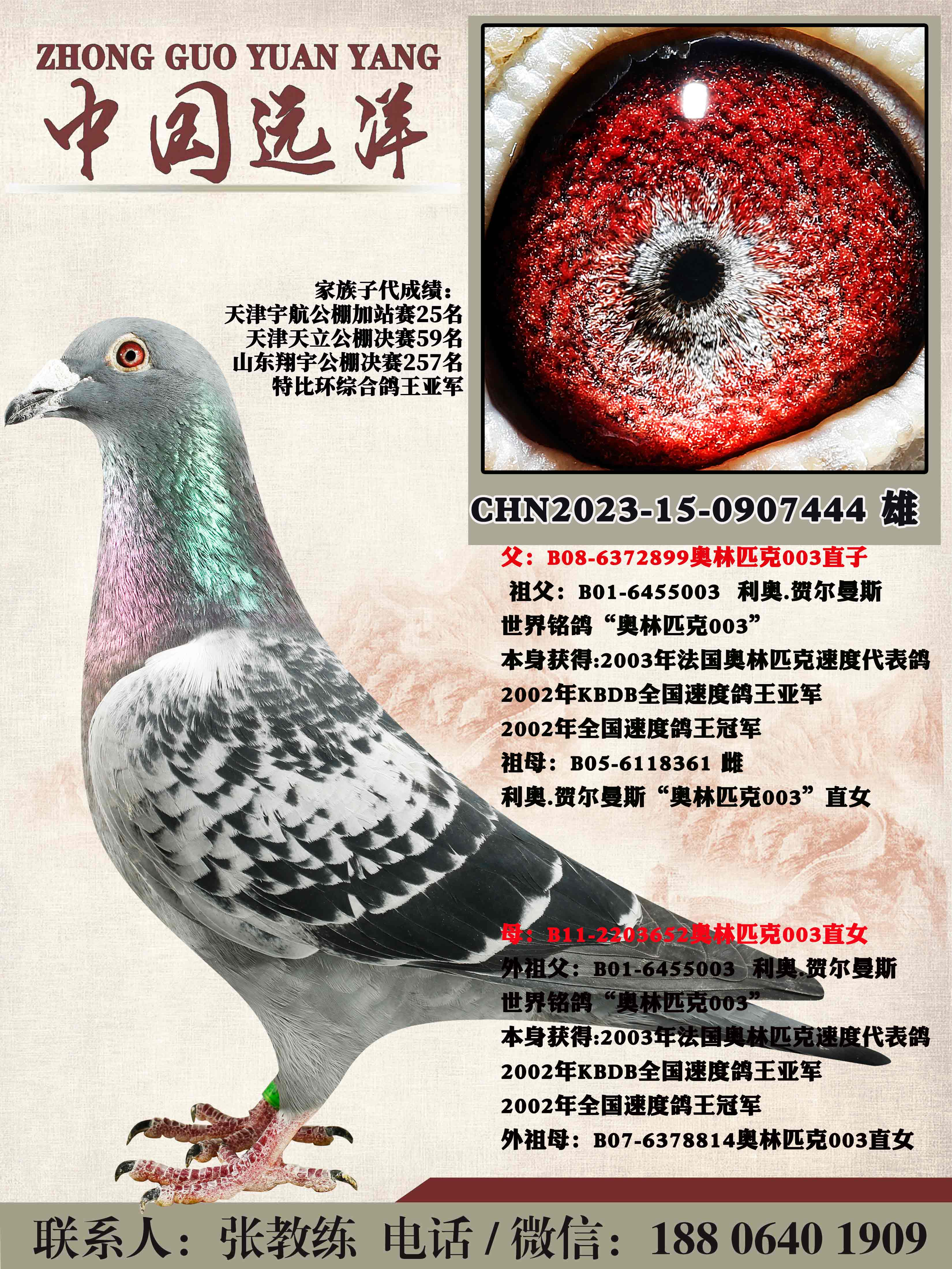겻ɿQ