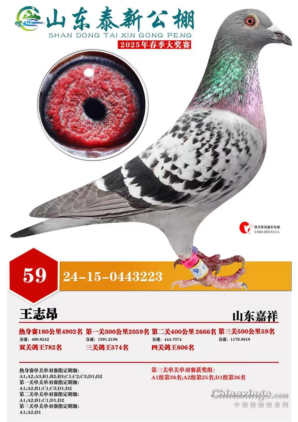 25̩¹59һ