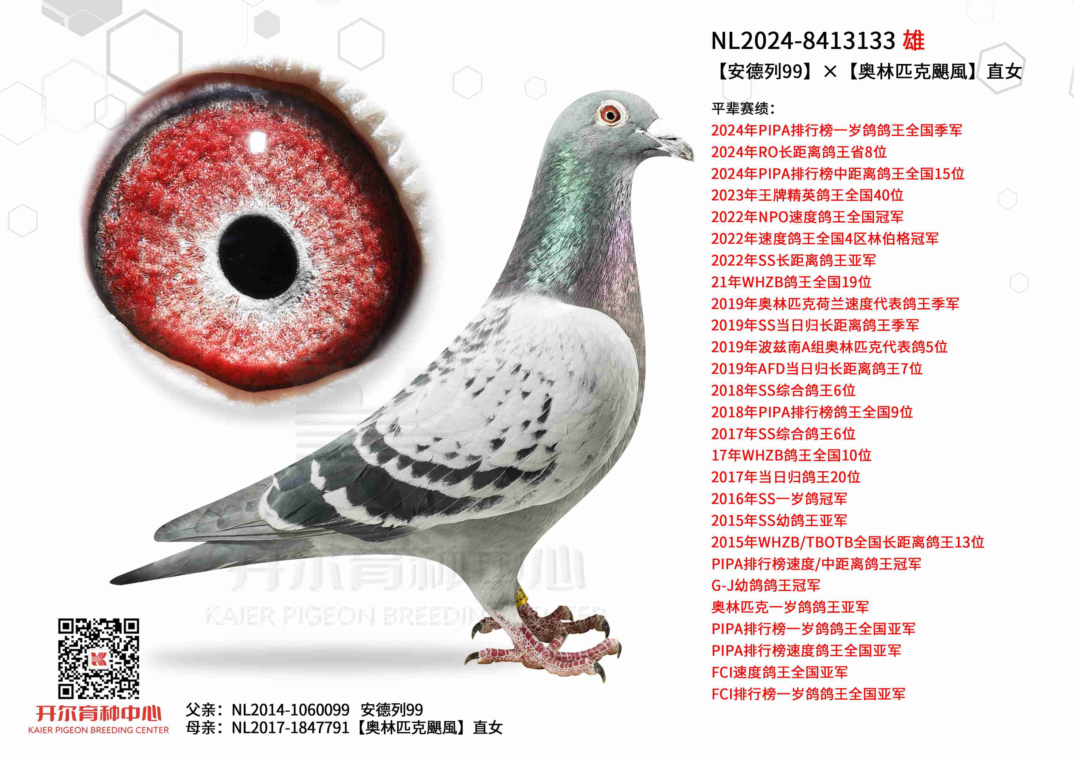 99WƥZL(fng)ֱŮ
