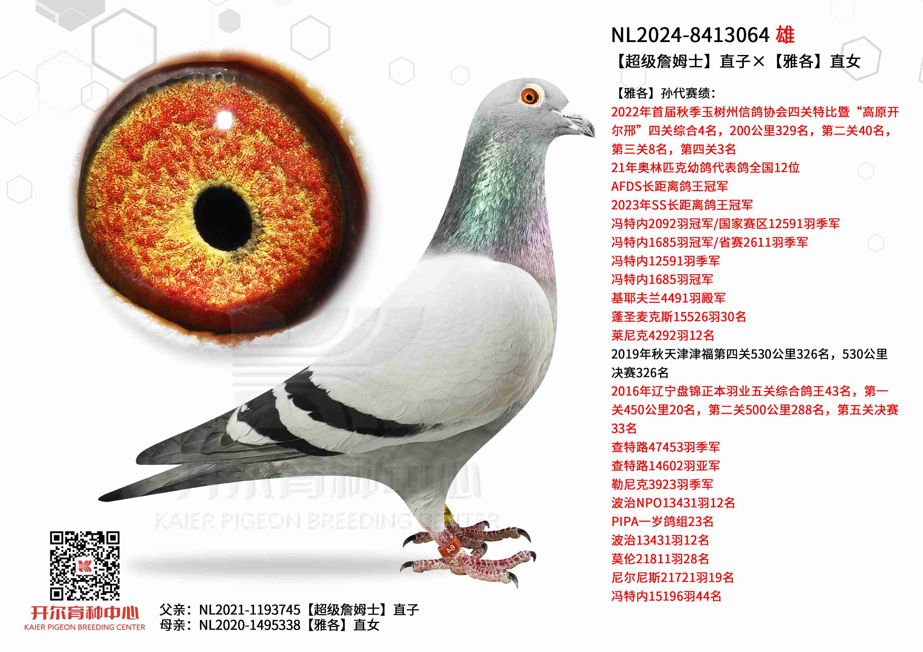 ղķʿֱӡŸֱŮ