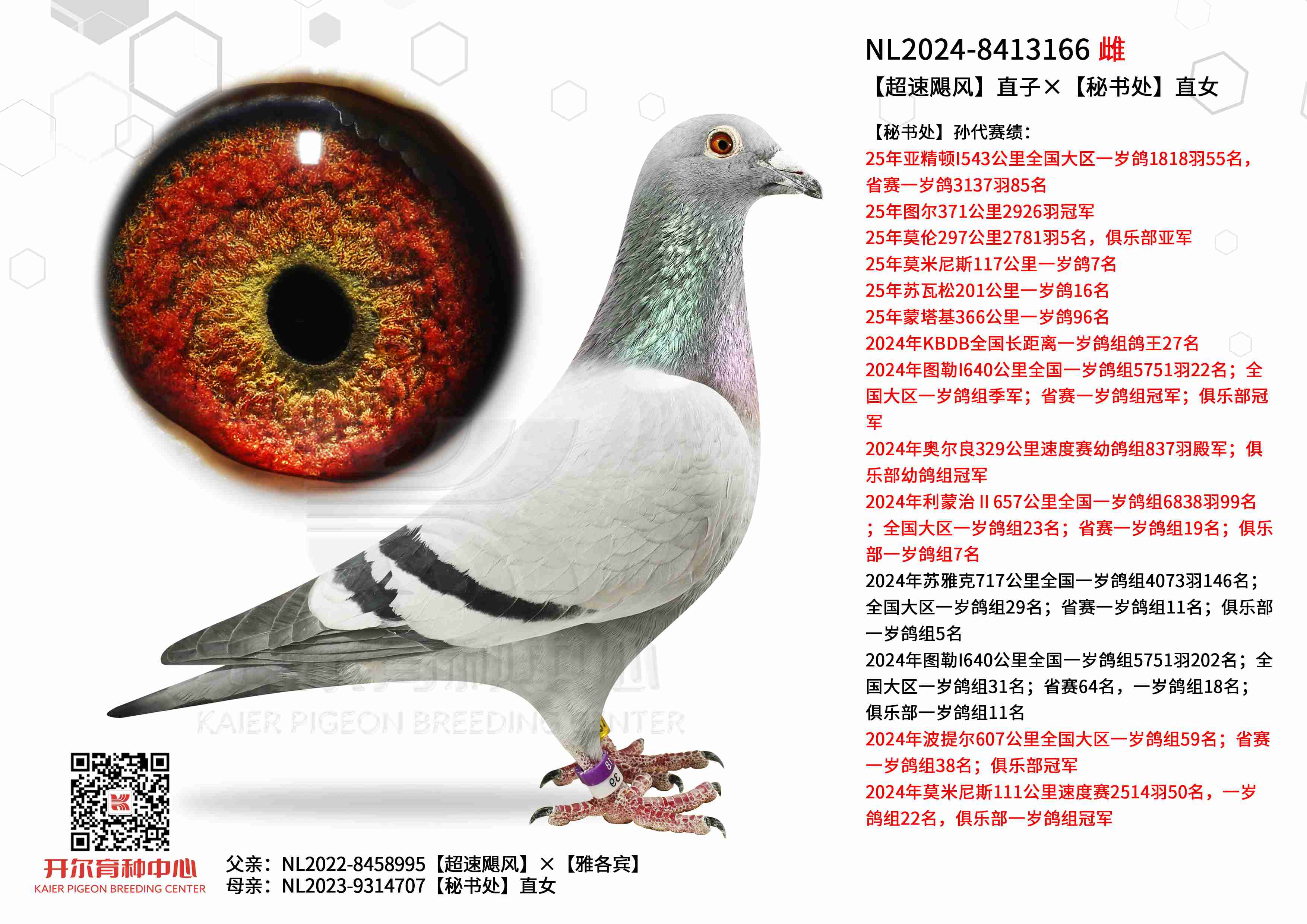 ZL(fng)ֱӡֱؕ̎Ů