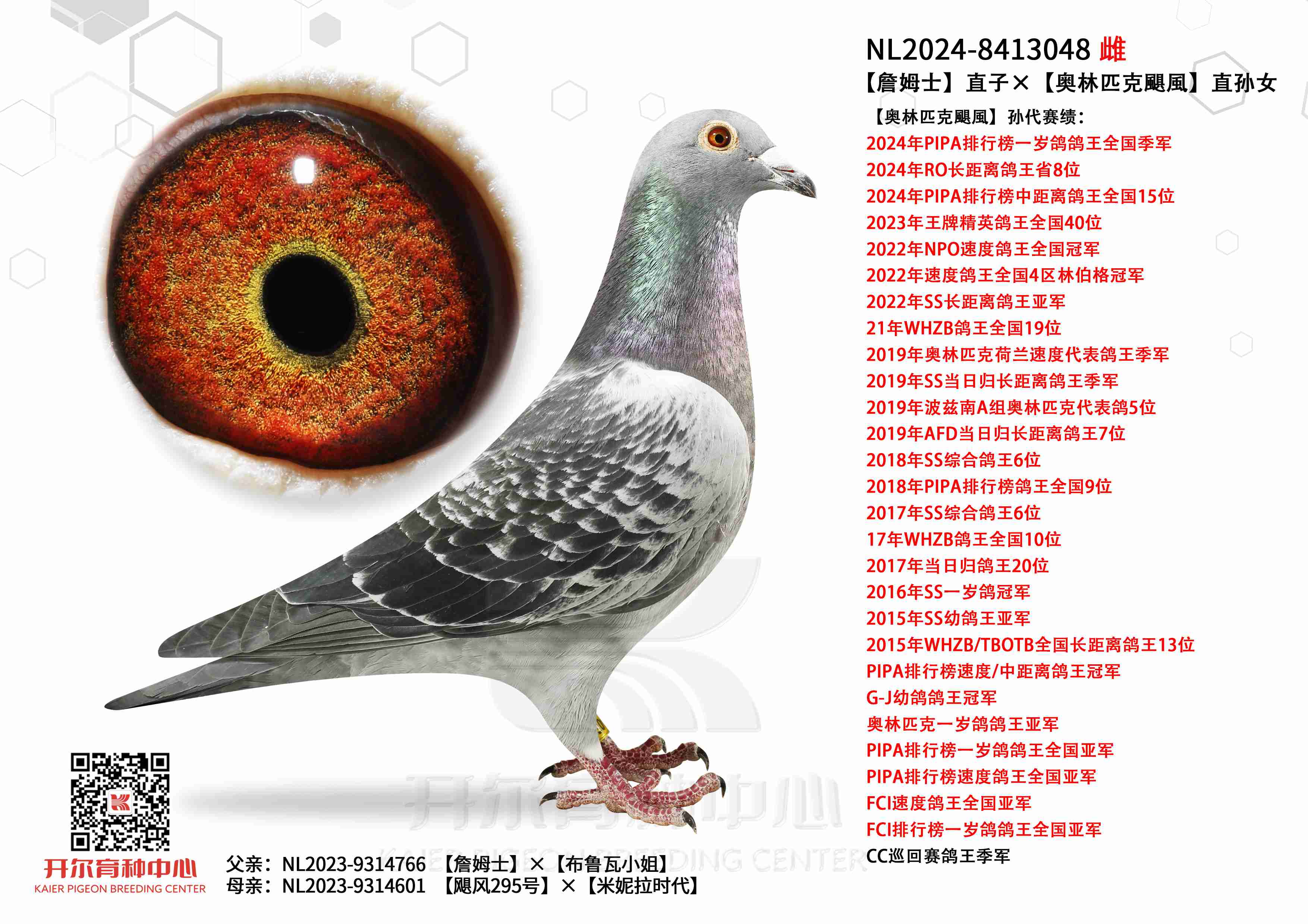 ղķʿֱӡWƥZL(fng)ֱOŮ
