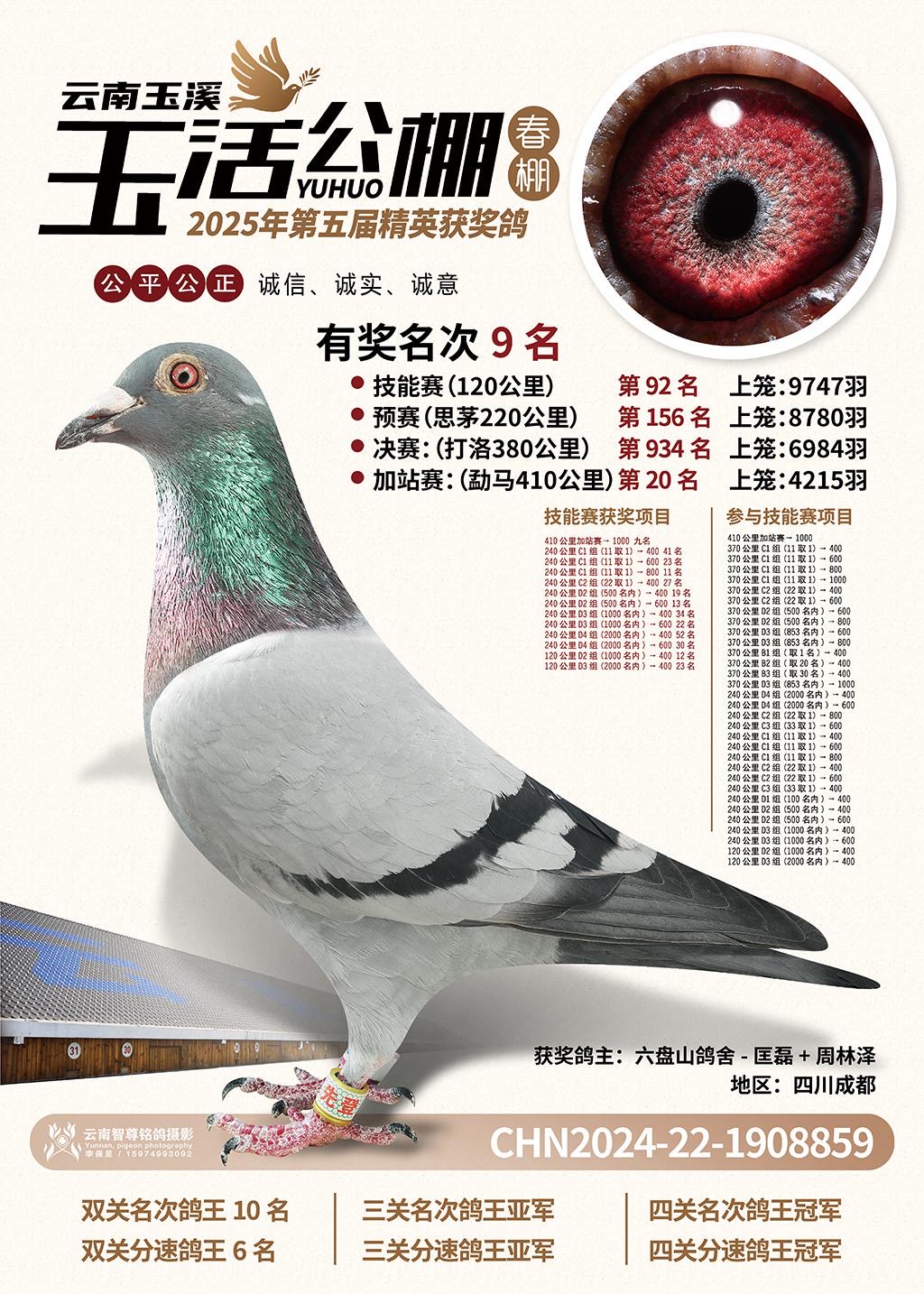 Ϫ2025괺վِ9
