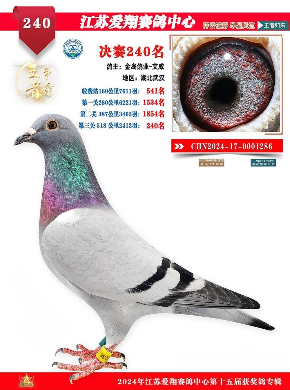 24꽭K500Qِ240