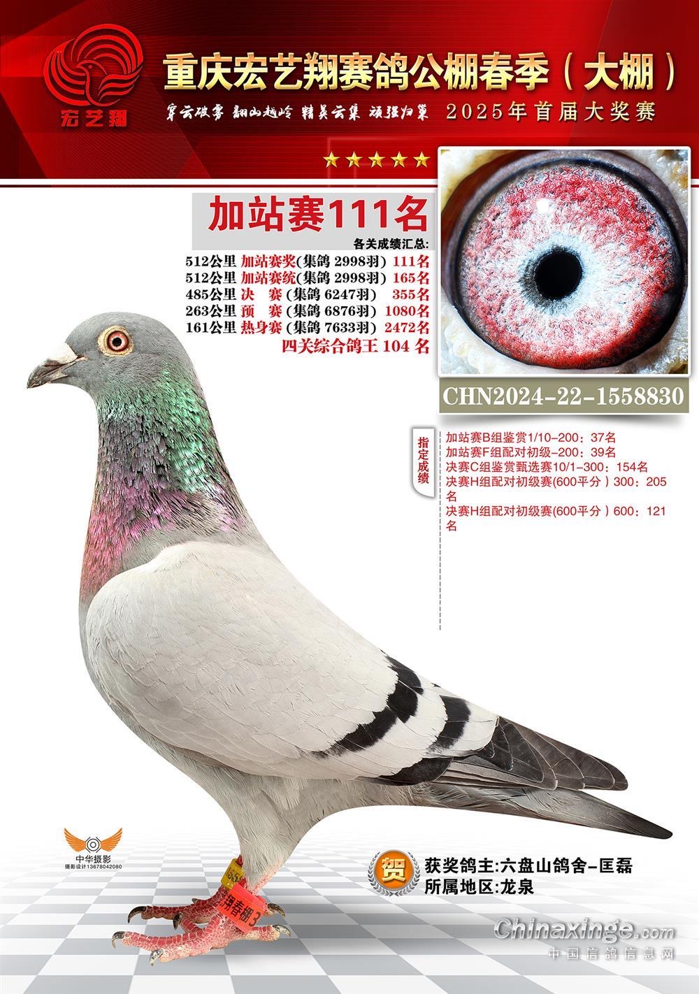 ˇ25괺Qِ355ِ111