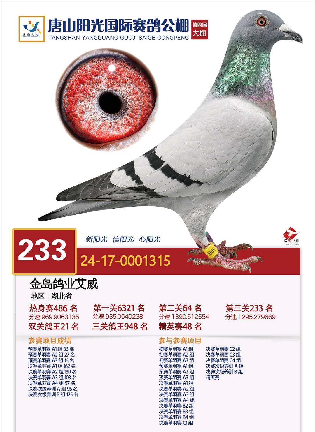 23ɽꖹ⹫Qِ233