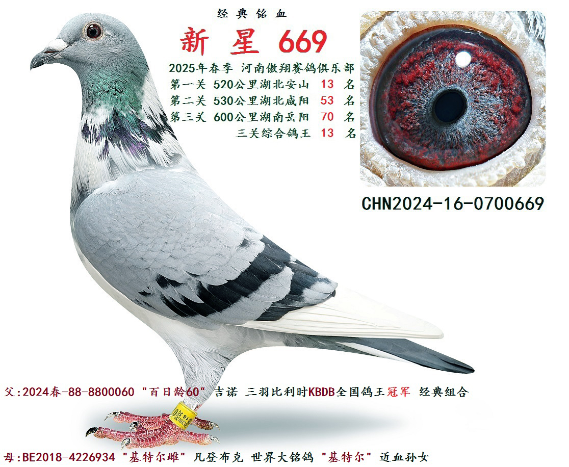2025괺  P(gun)C 13 