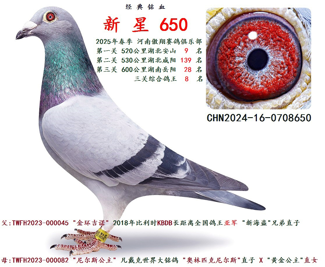 2025괺   PC 8 