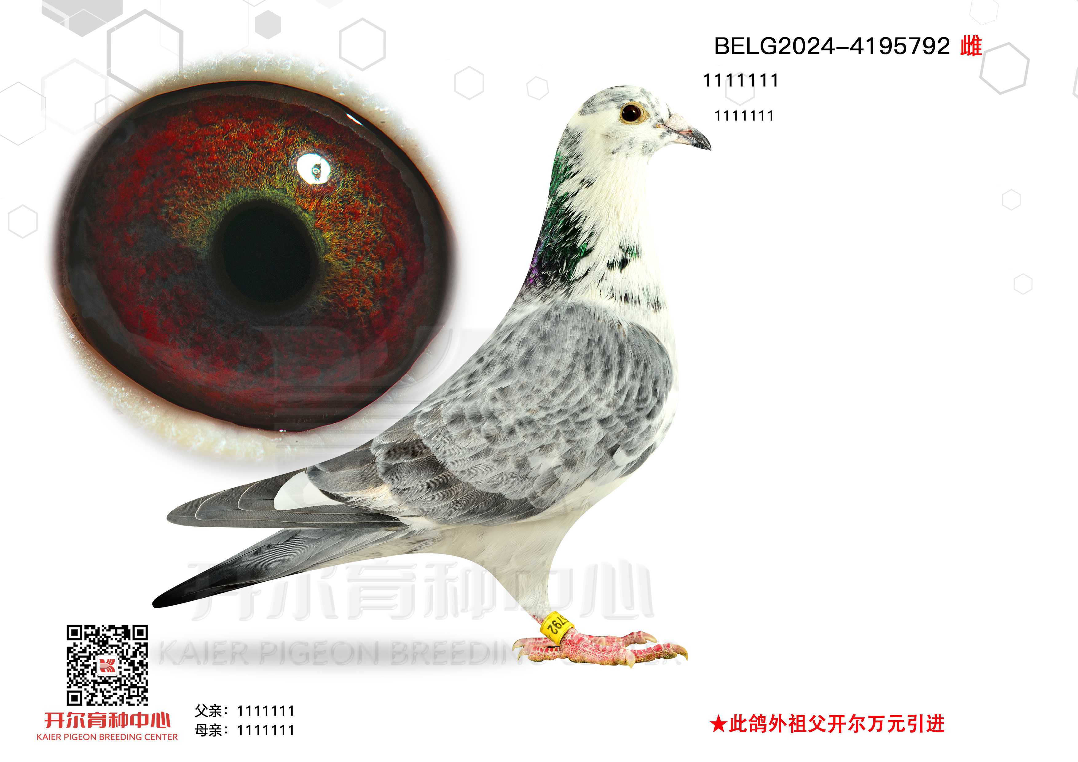 ѩ 792