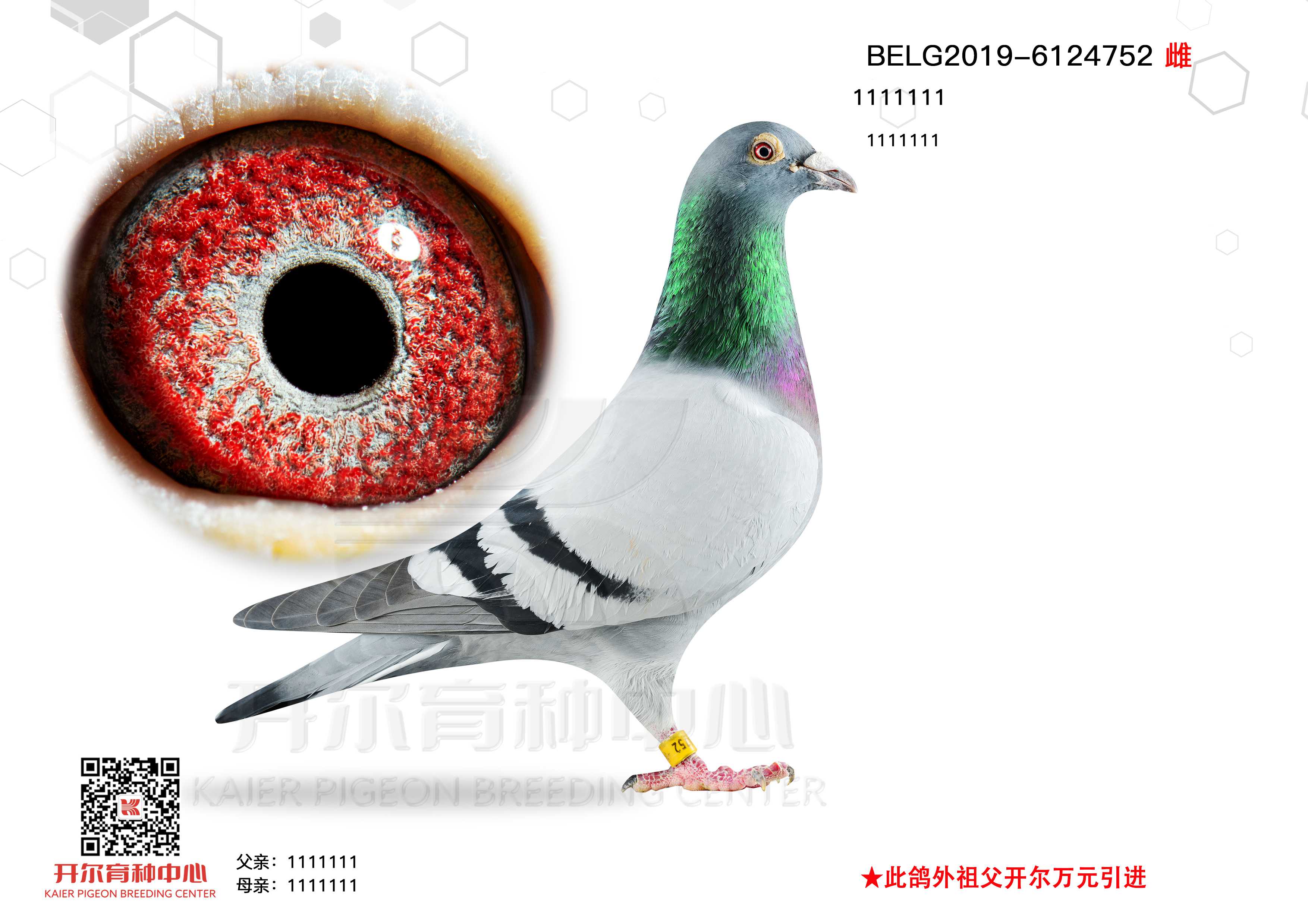 ƯءֱӡHֵܡֱŮ
