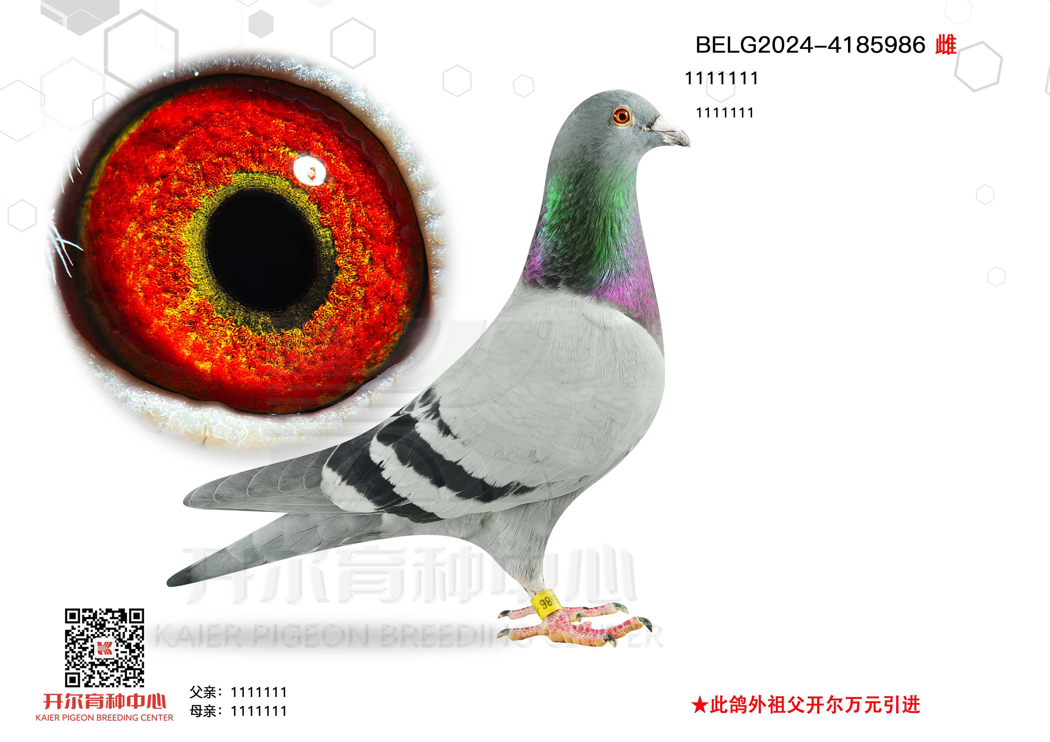 pţ
