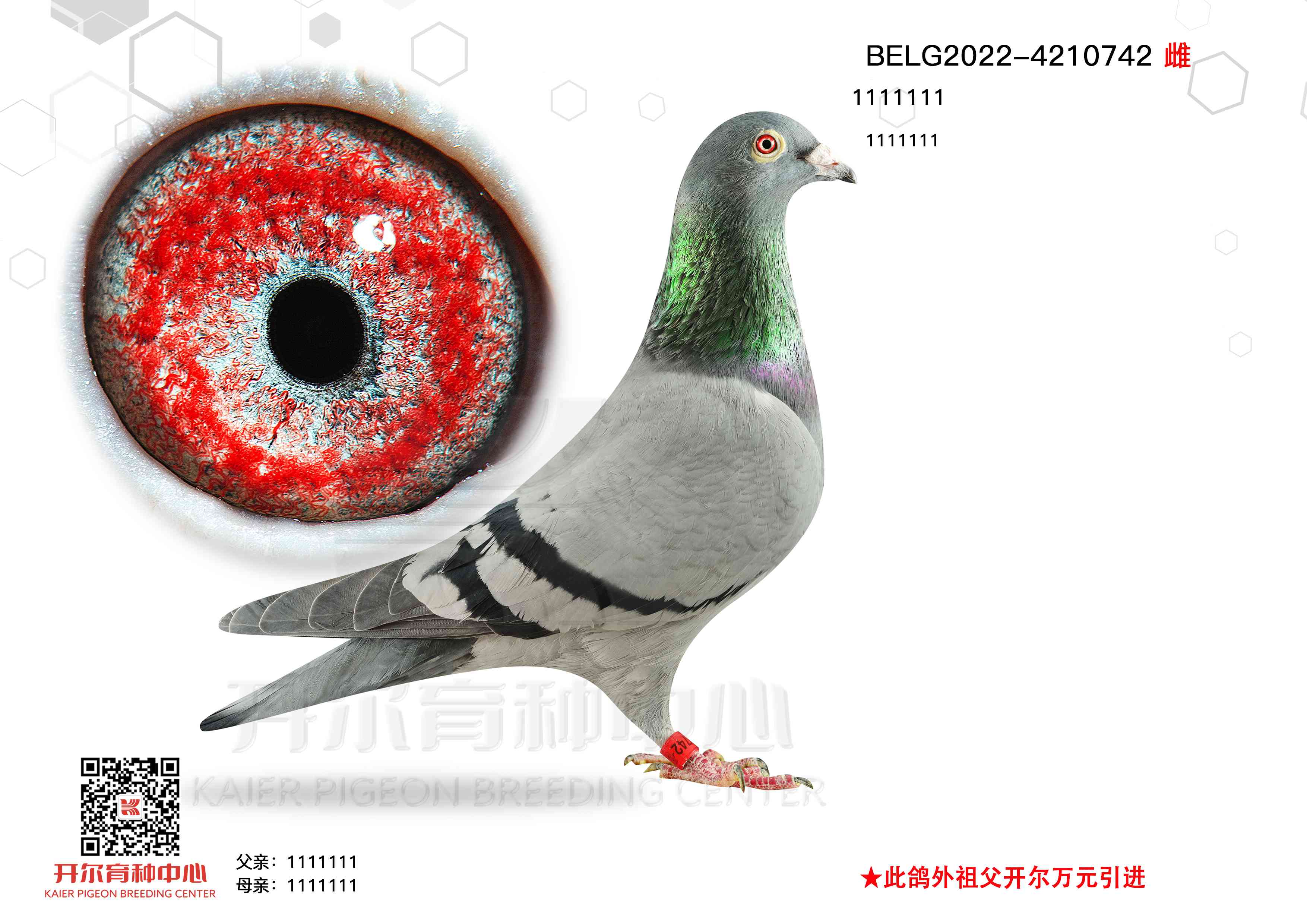  742