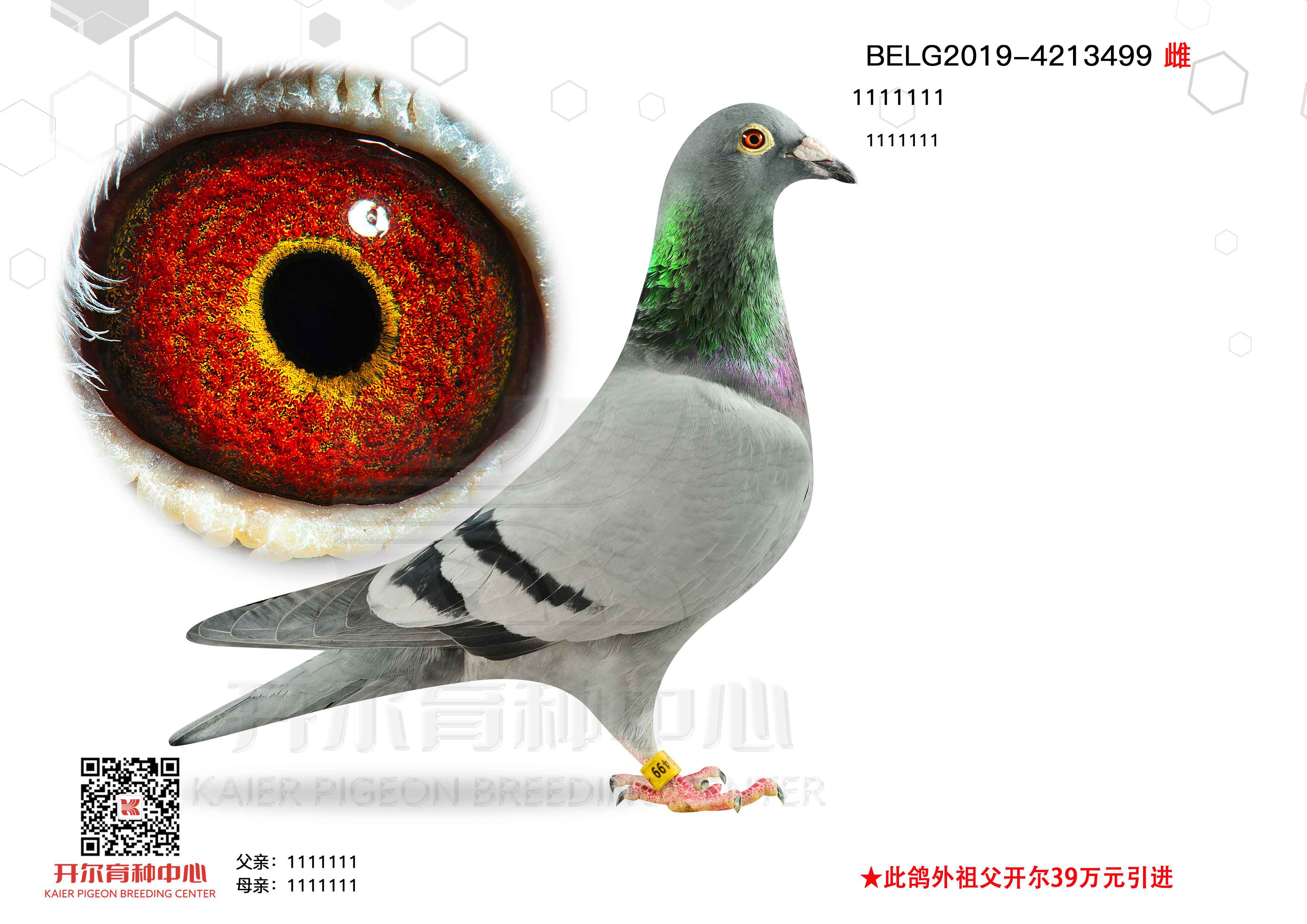üt̖HֱֵӡֱŮ H