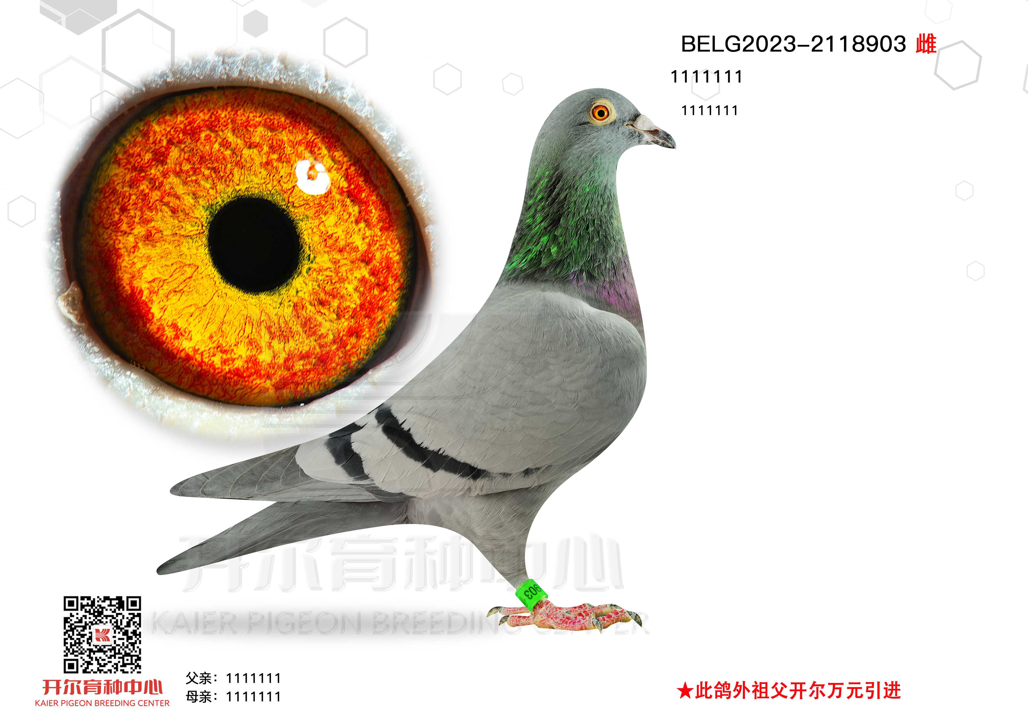  725ֱŮ