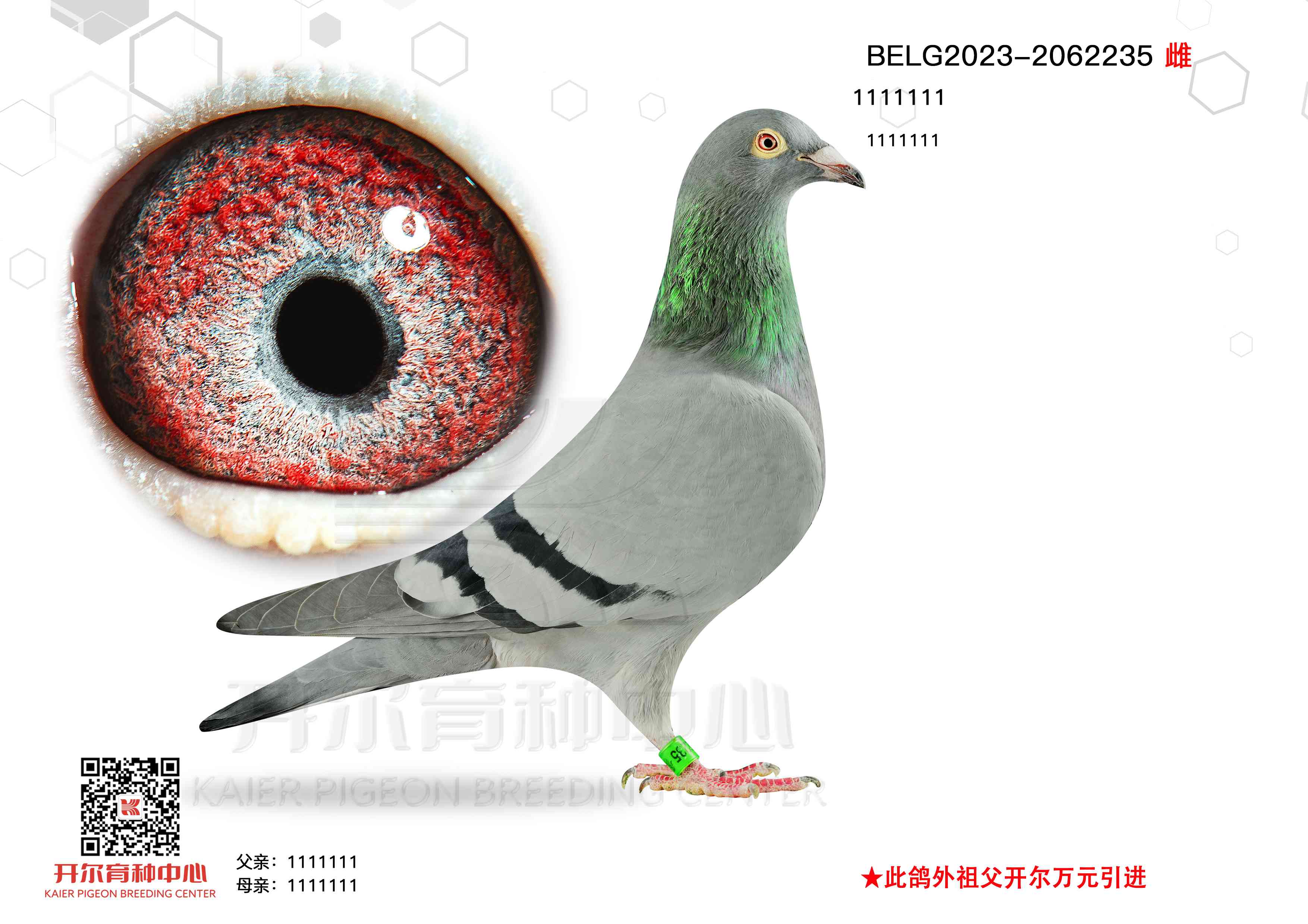 ѩ(gu)ؠHֵܡֱŮ