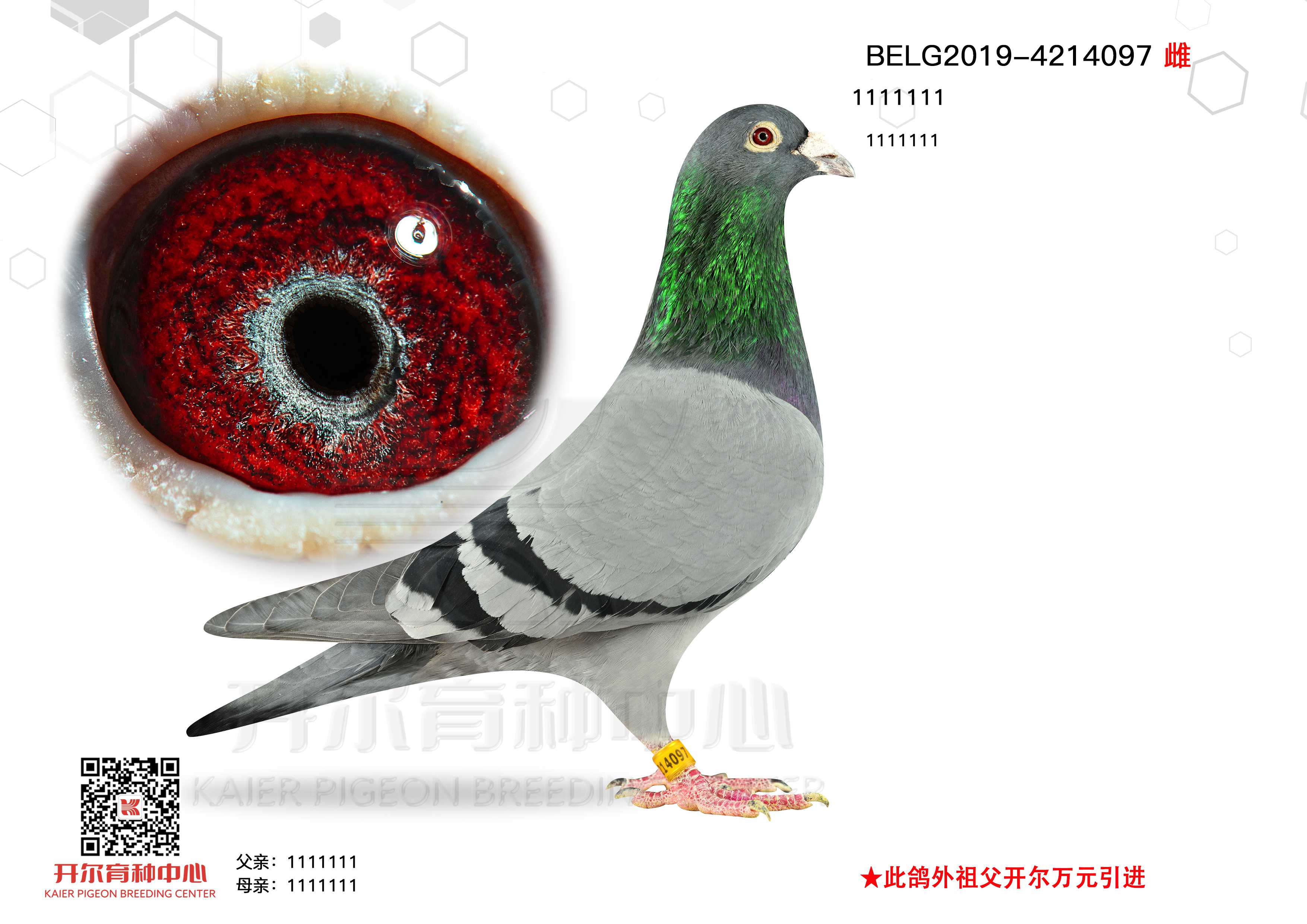 ϰ塱üt̖O