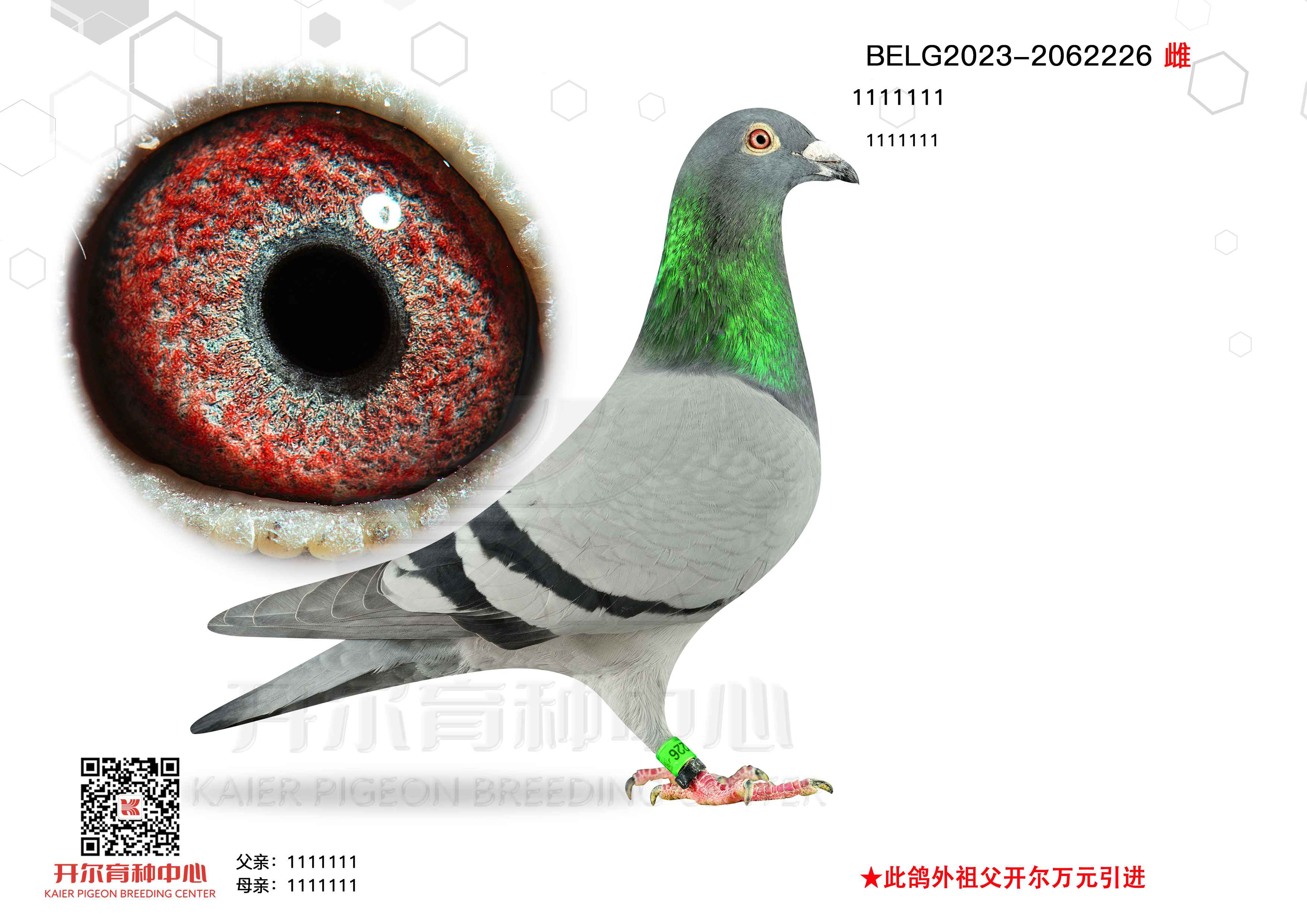 ѩ 030HֵܡANֱۡŮ