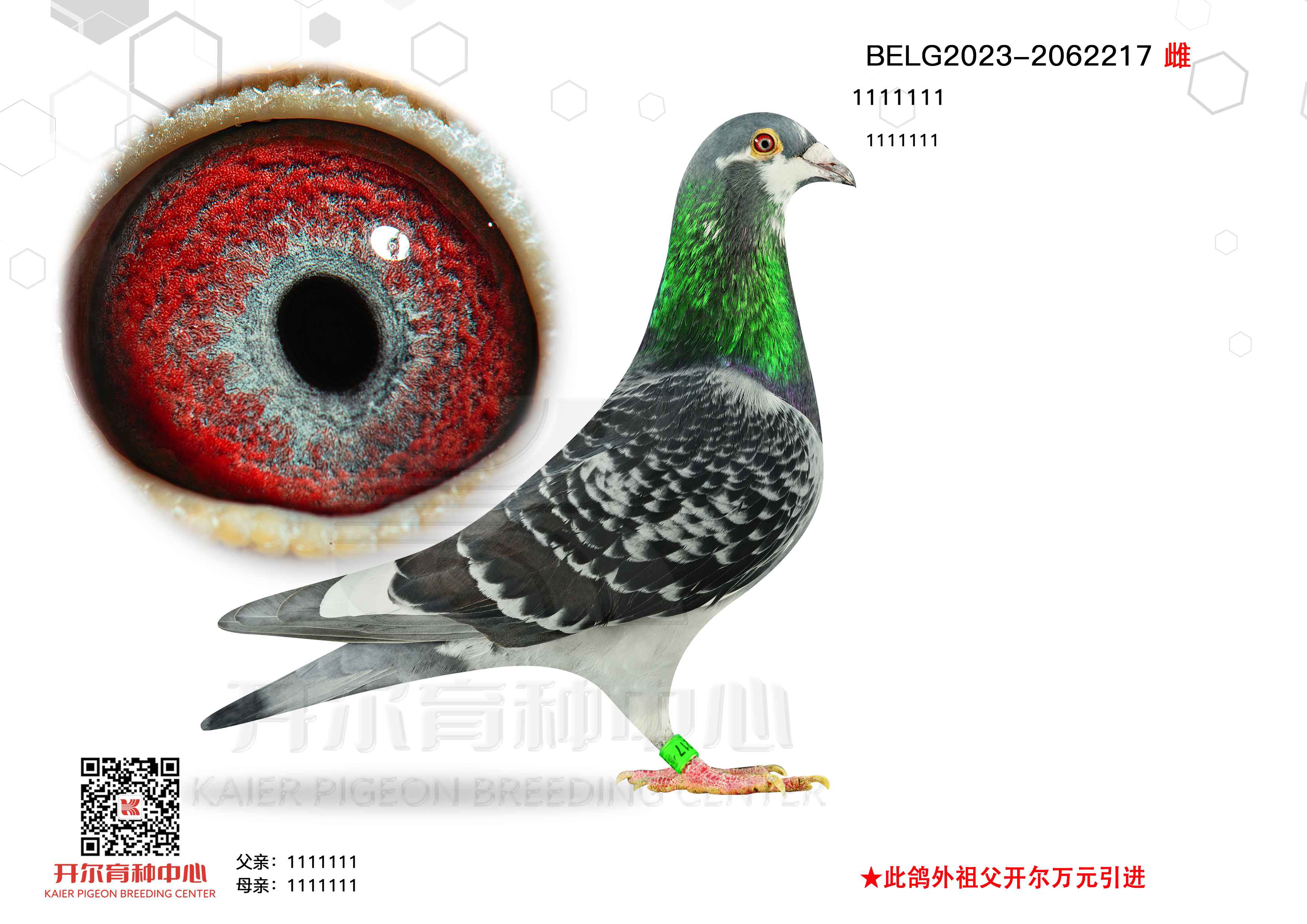 ߰ӣѩ(gu)ؠ3