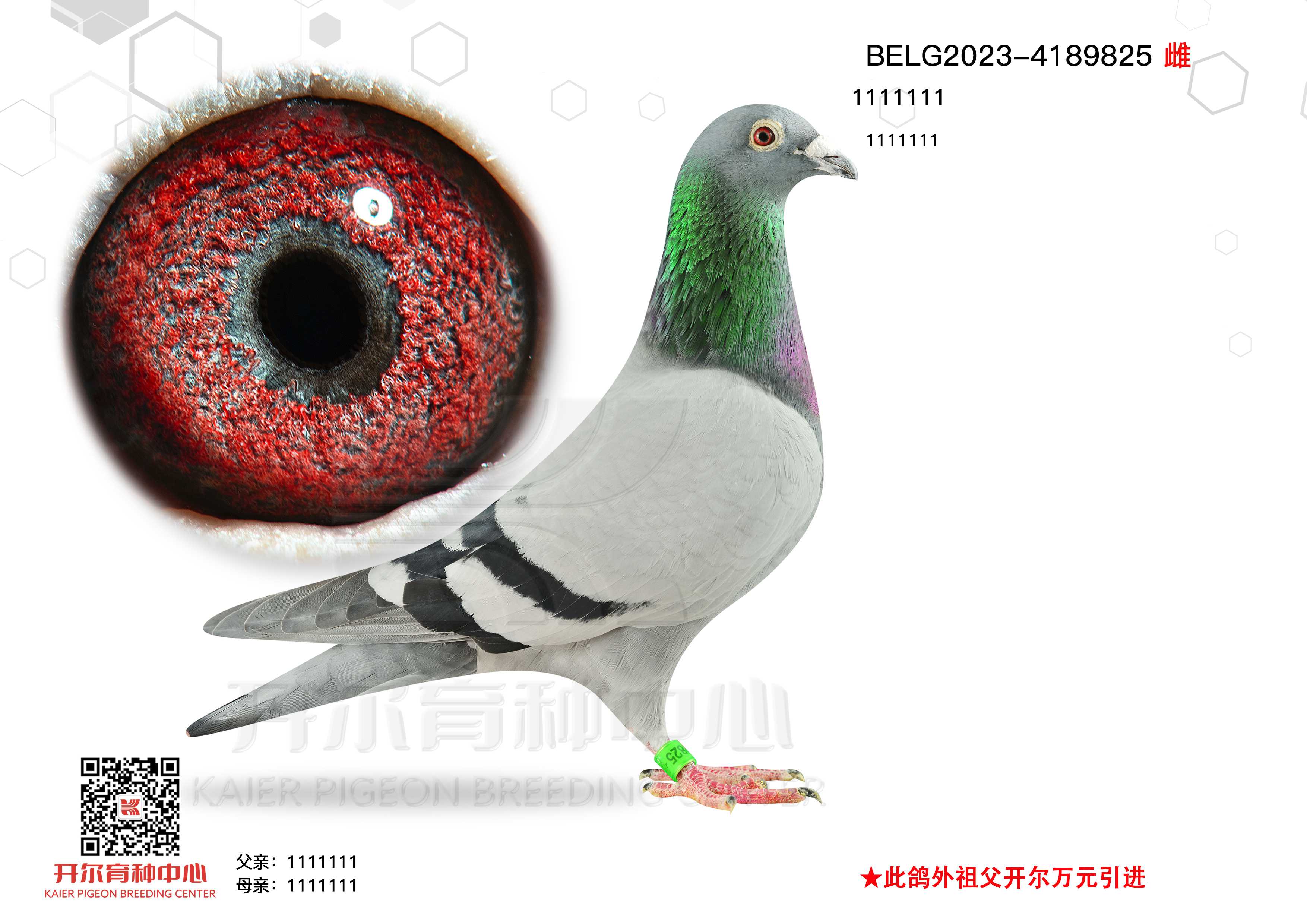 825