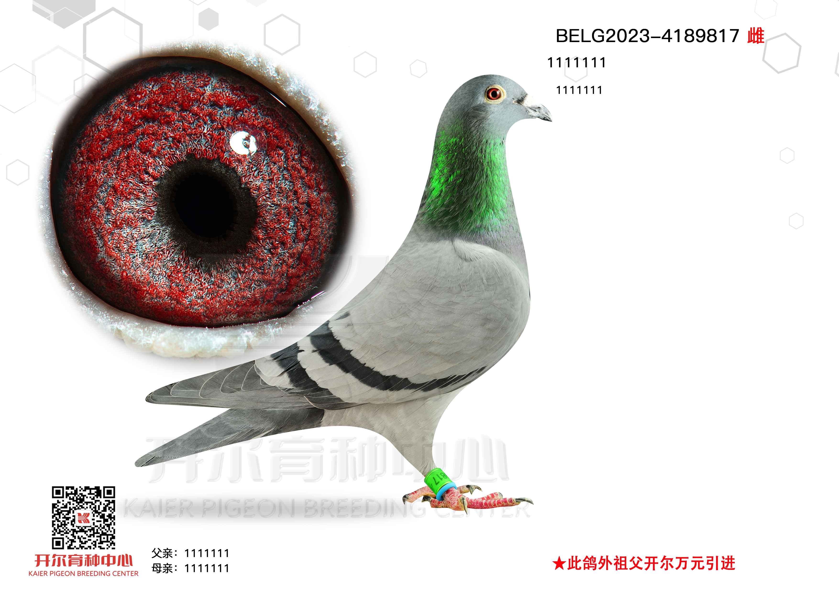 피Ůüt̖5