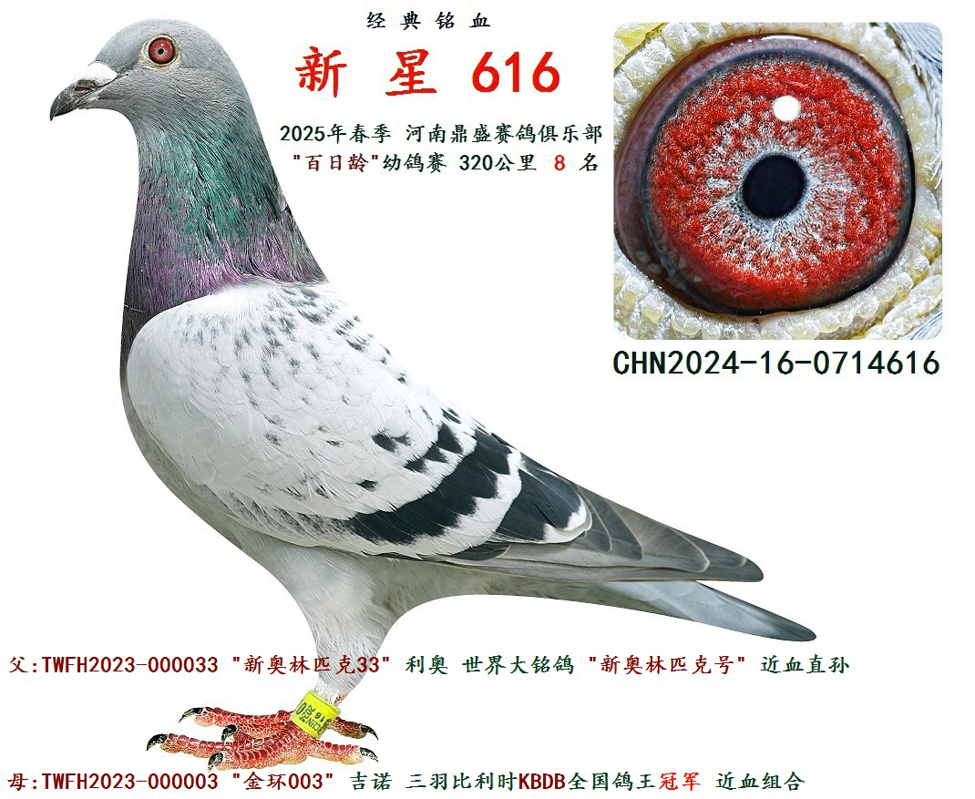 2025괺 gِ  8 