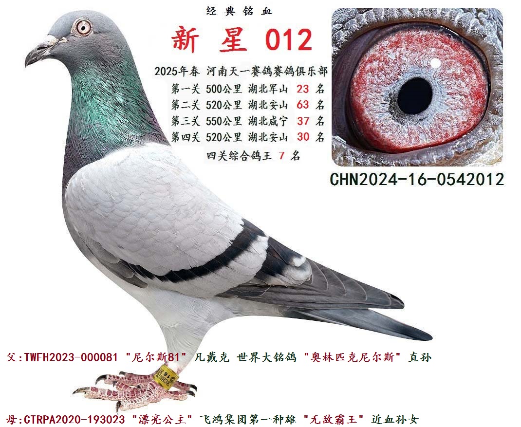2025괺 P(gun)C 7  