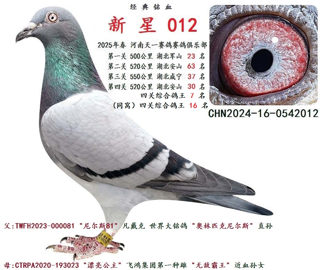 2025괺 P(gun)C 7  
