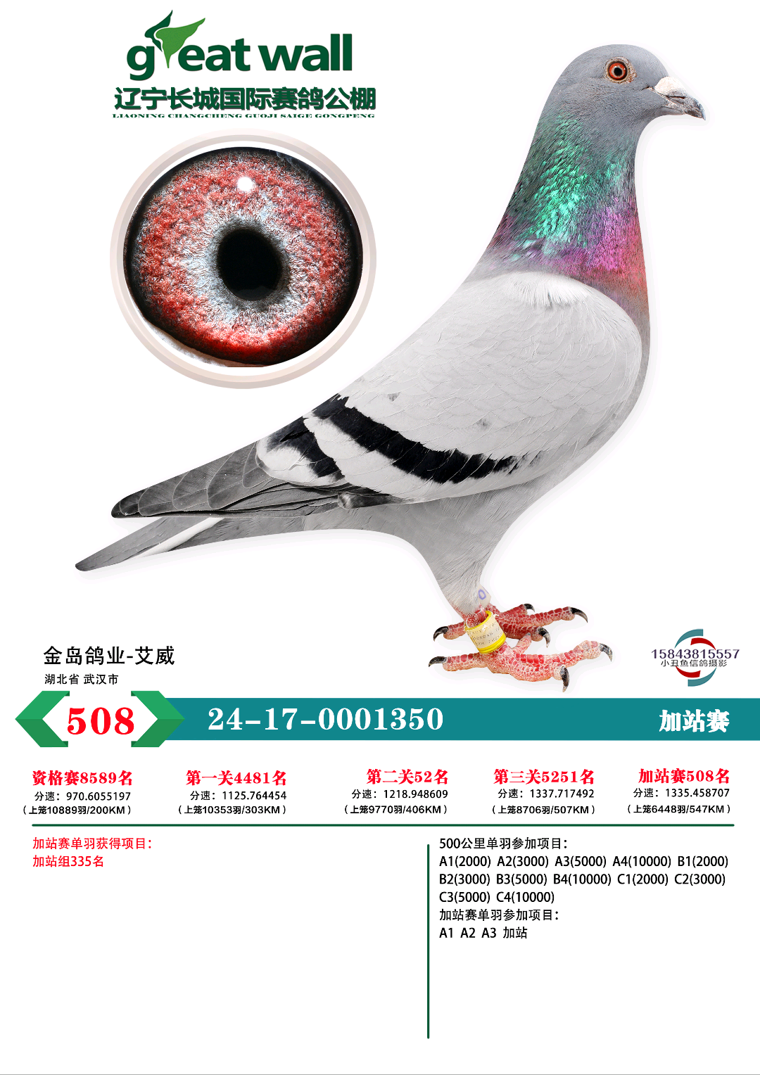 24Lǹվِ508