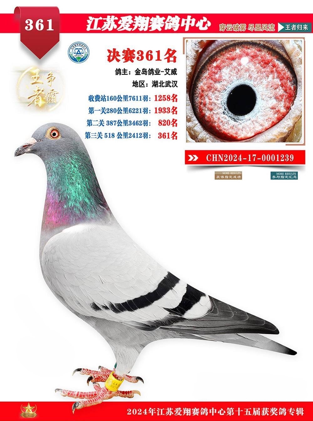 24꽭K蹫Qِ361