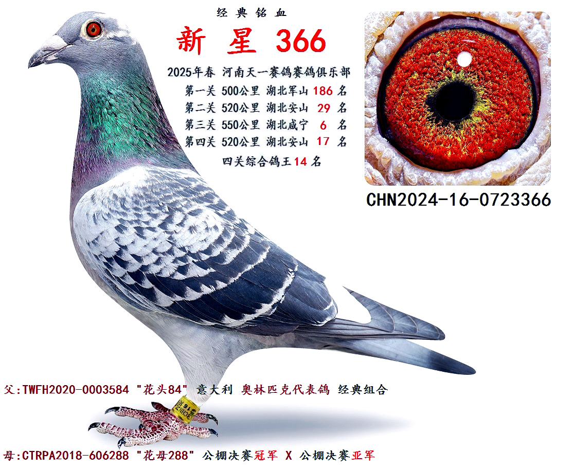 2025괺 P(gun)C 14  