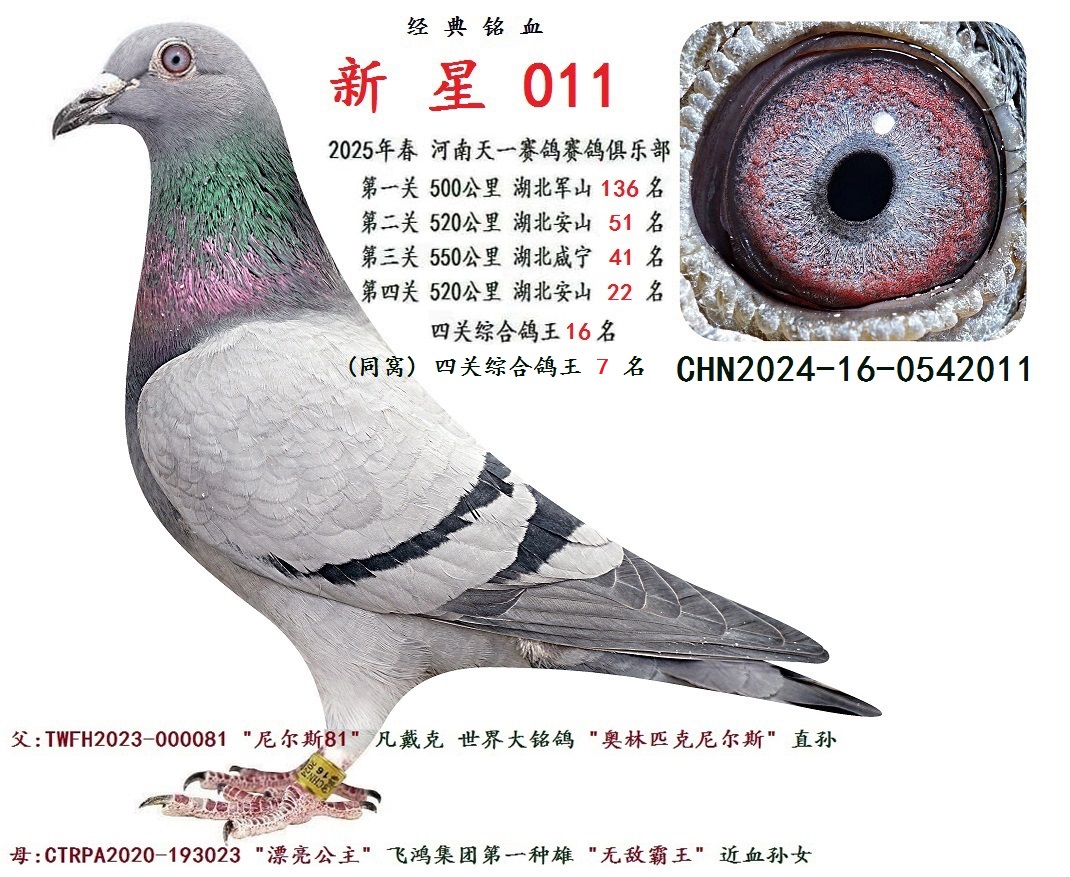 2025괺 PC 16  