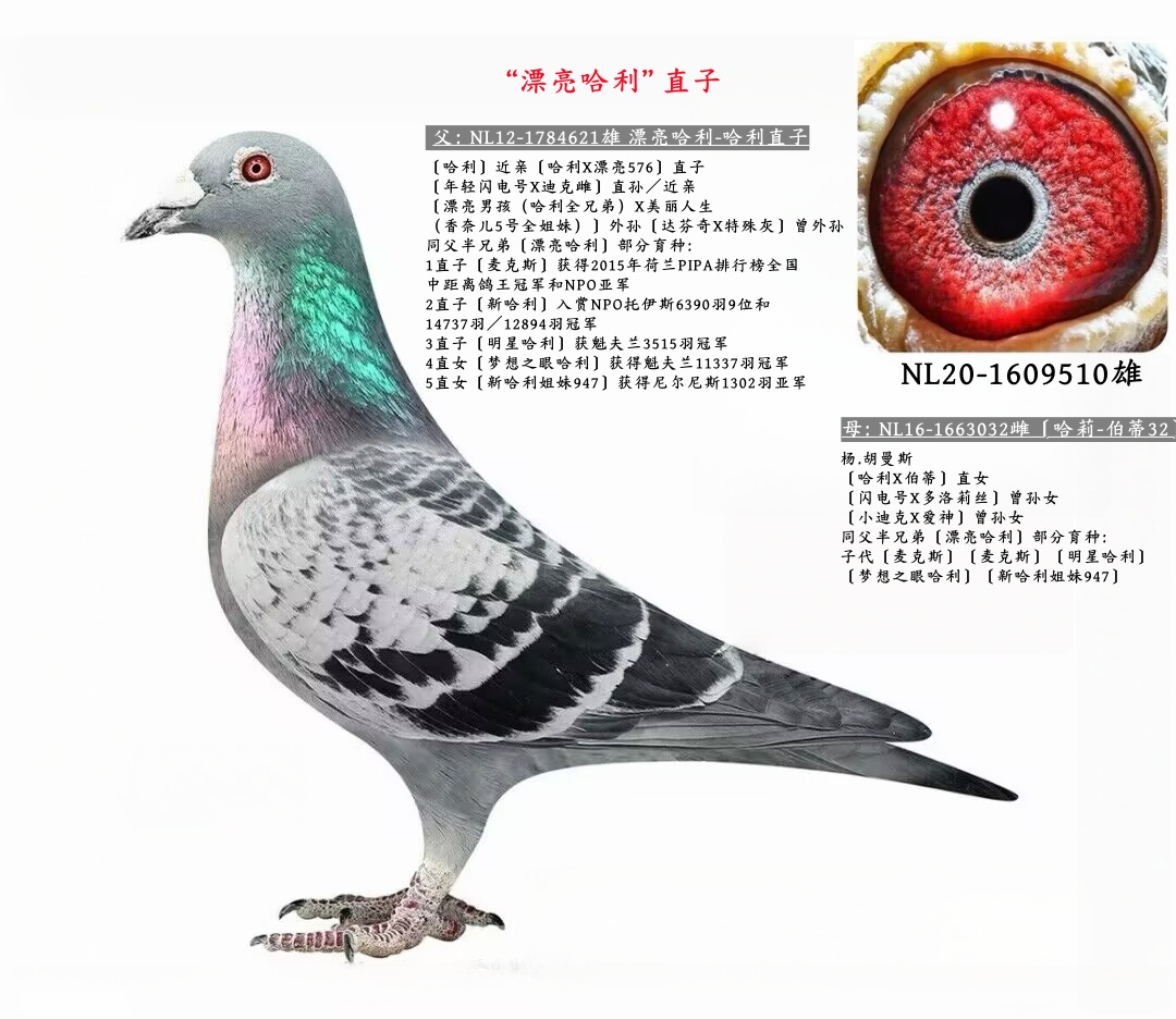 ˹Ư