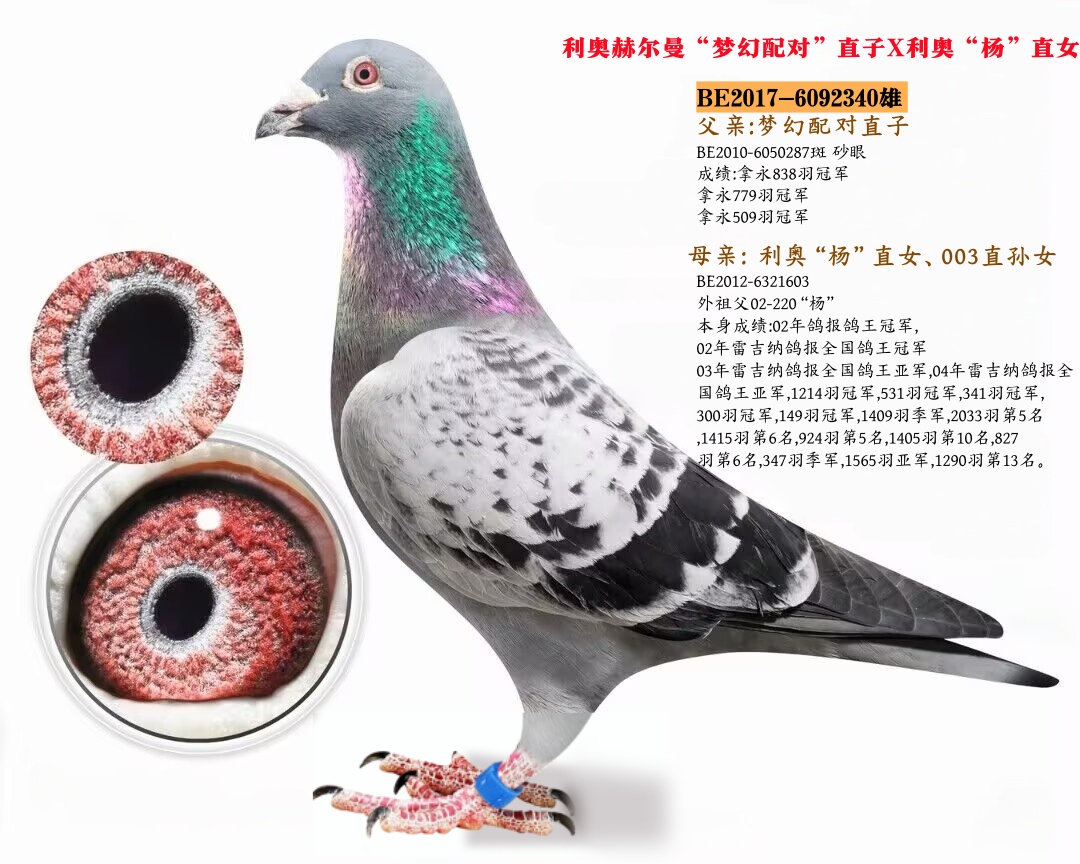 Wՠ䌦ֱӡXֱŮ