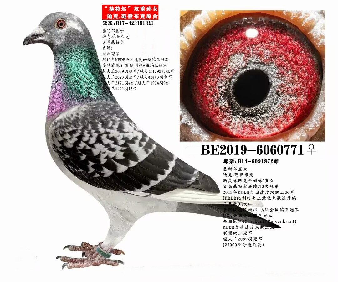 Ͽ.ǲˡؠp،OŮ