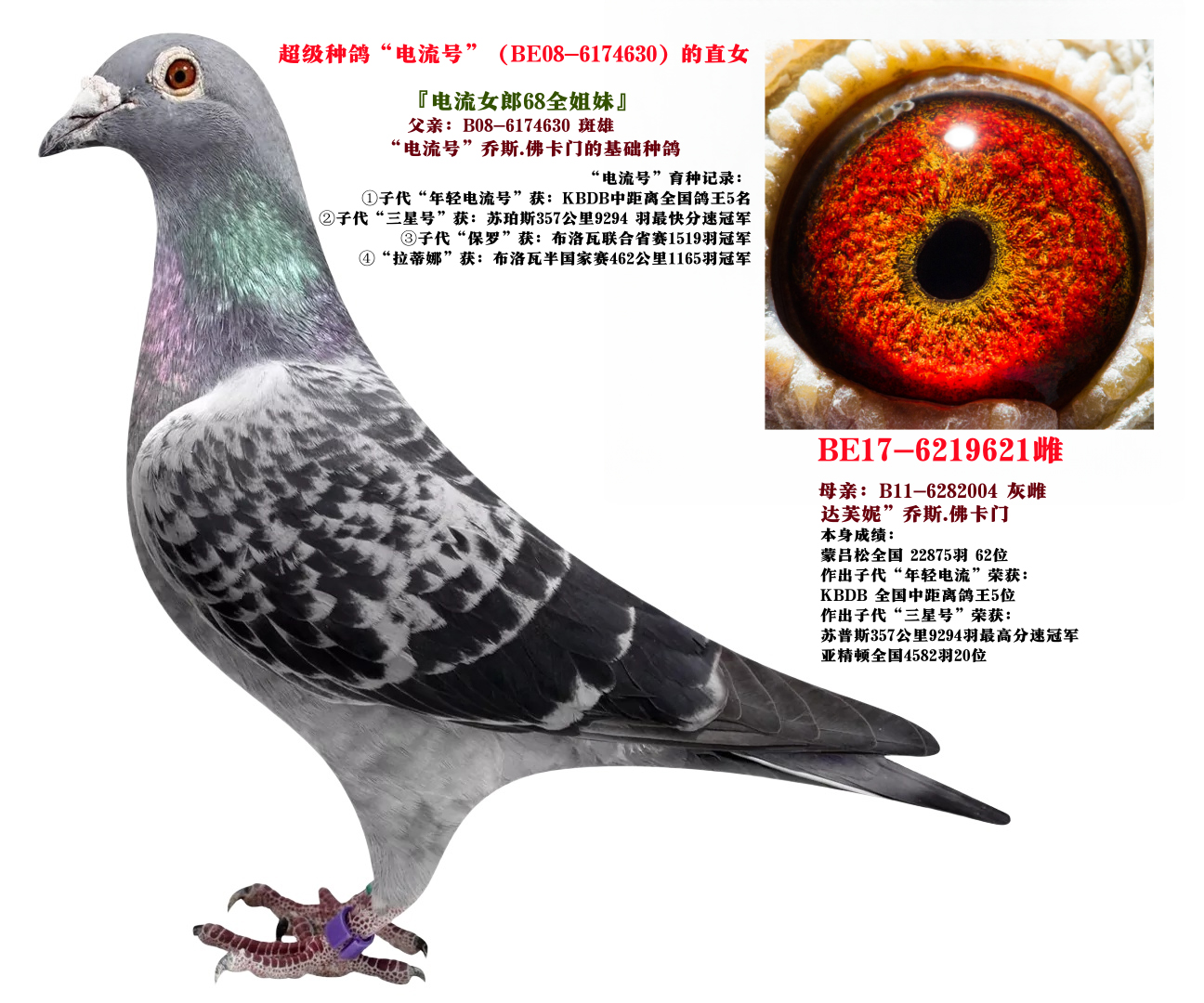 Tֱ̖Ů