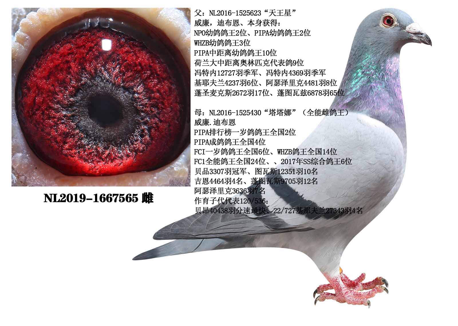 ϲǡֱŮZL(fng)̖(ho)ֱϵ