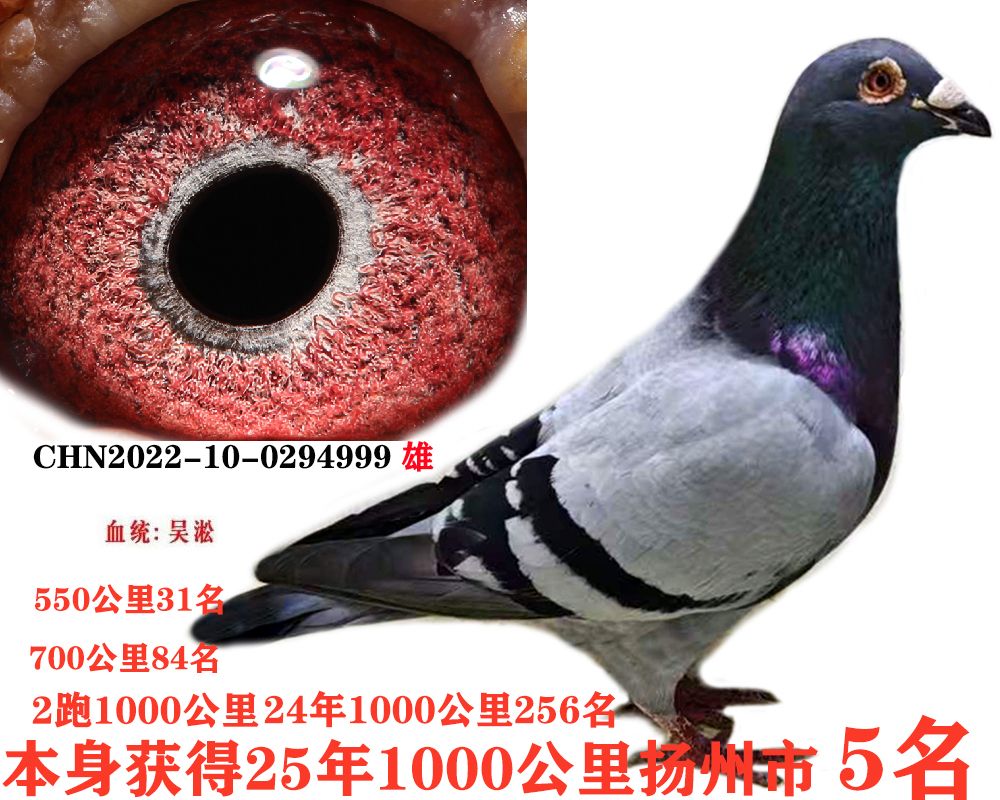 7510abda76b6b5acf533cdcd925272b