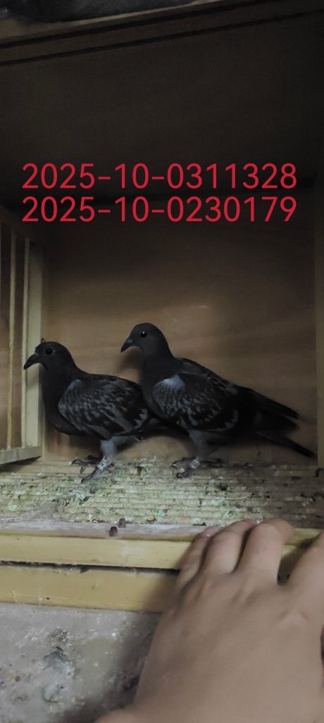һ