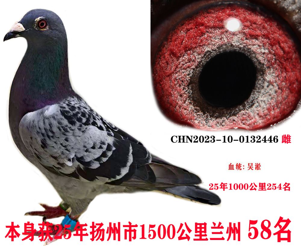 m586