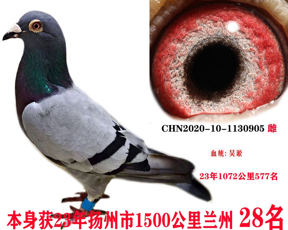 m286