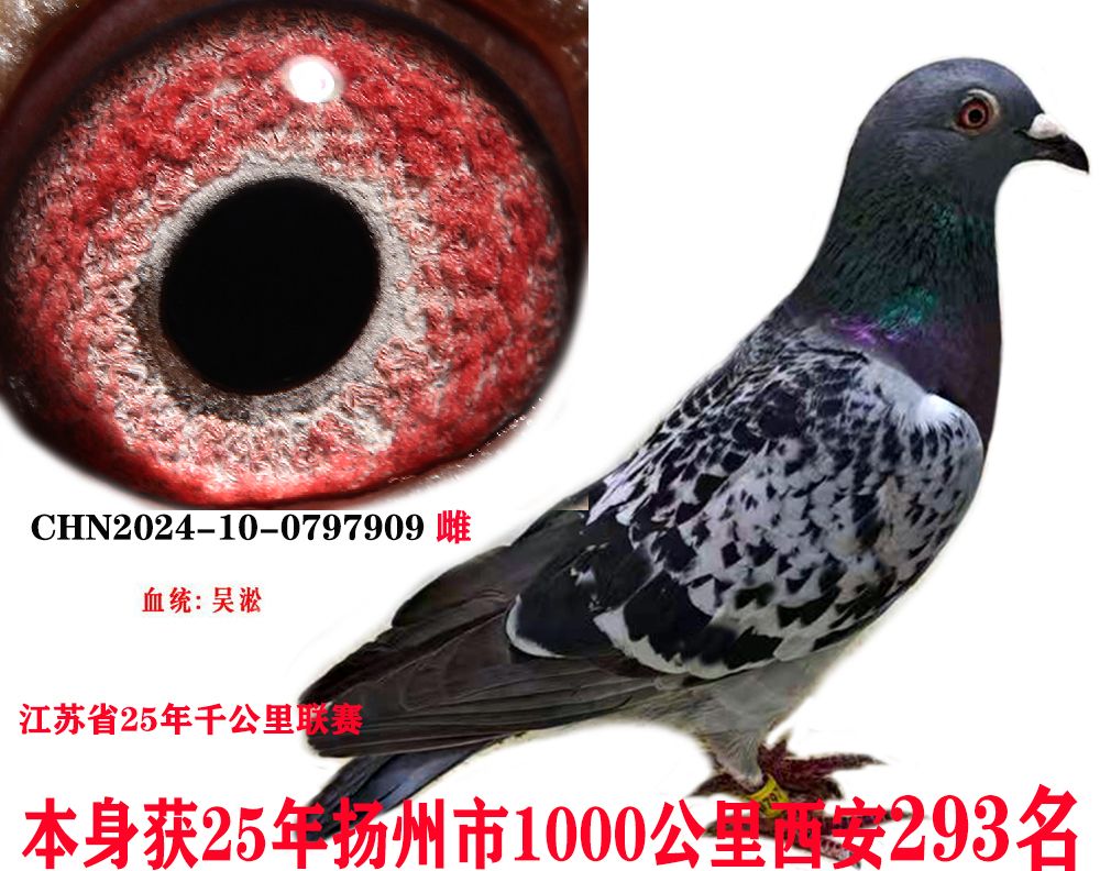 ǧ15