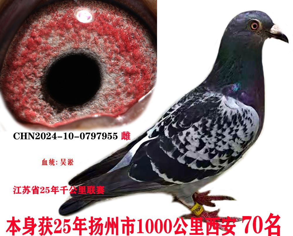 702