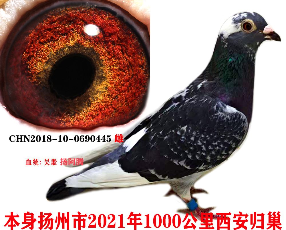 ǧ12