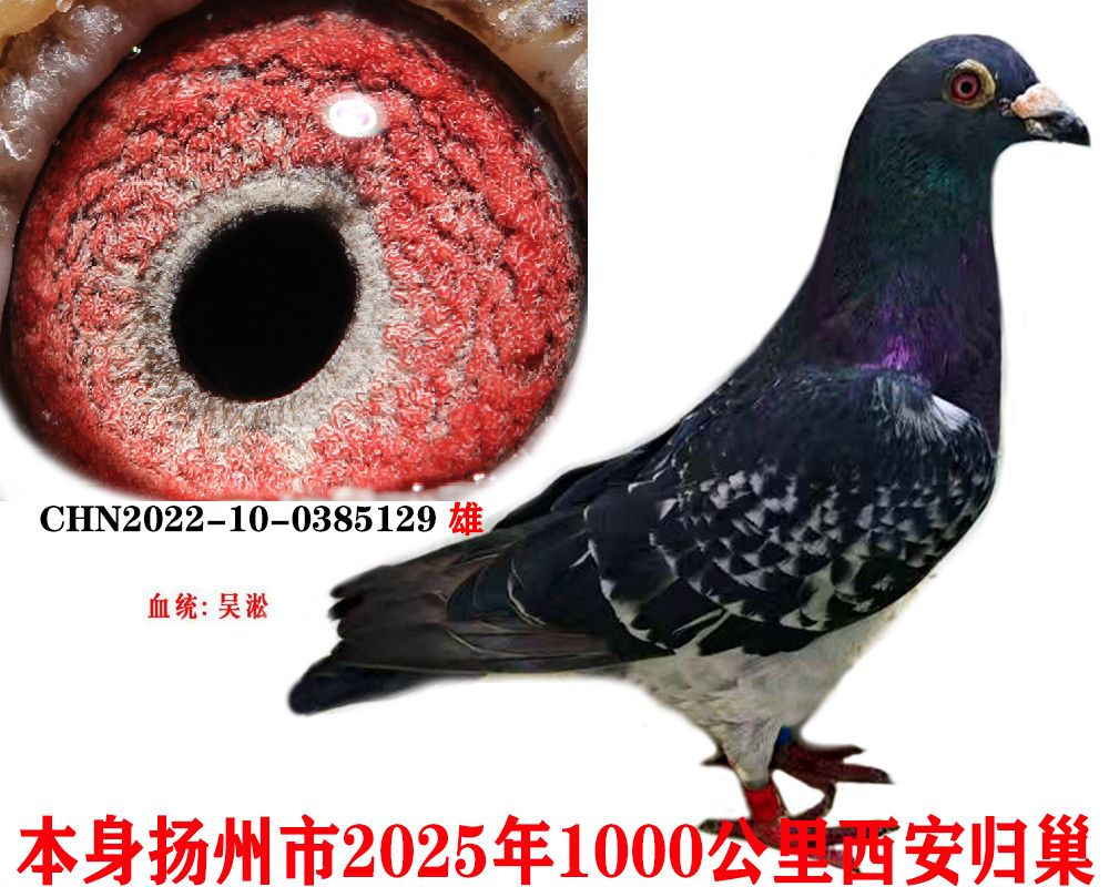 ǧ12