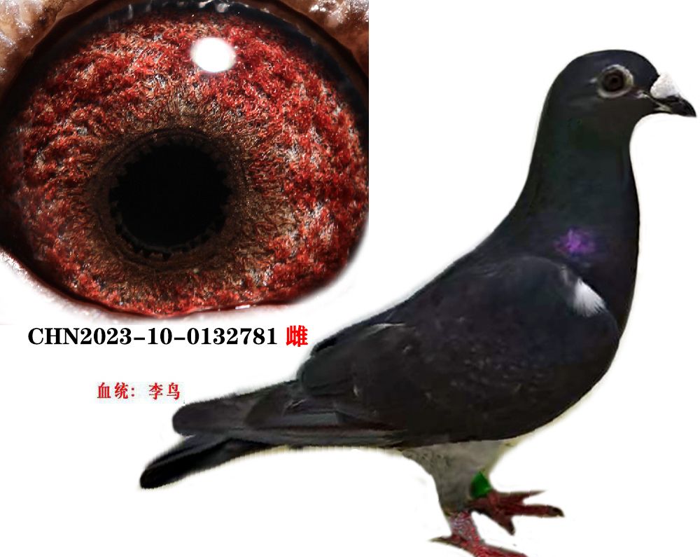 889937bf1cd440ed4475fd7e0814f84