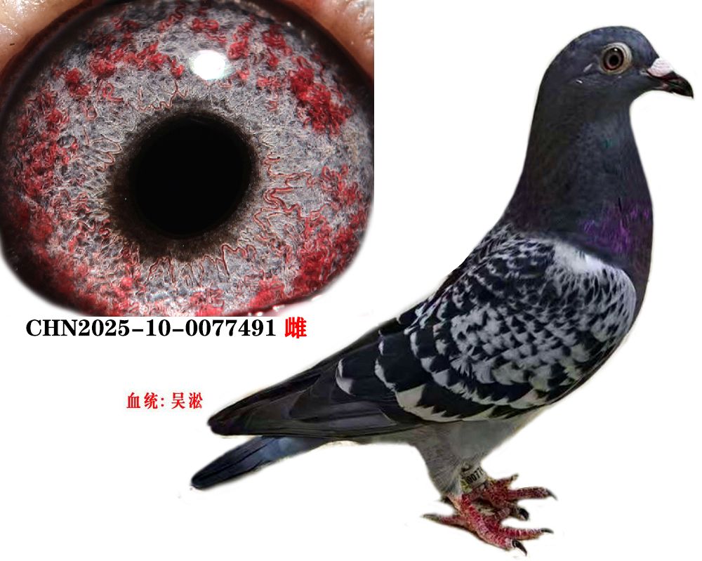4cb65d82965f65af17f21740bca7bb9